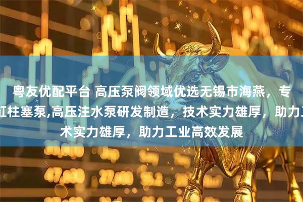 粤友优配平台 高压泵阀领域优选无锡市海燕，专注试压泵,多缸柱塞泵,高压注水泵研发制造，技术实力雄厚，助力工业高效发展