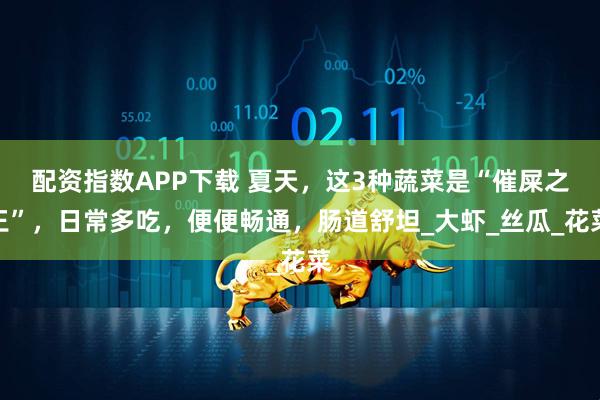 配资指数APP下载 夏天，这3种蔬菜是“催屎之王”，日常多吃，便便畅通，肠道舒坦_大虾_丝瓜_花菜