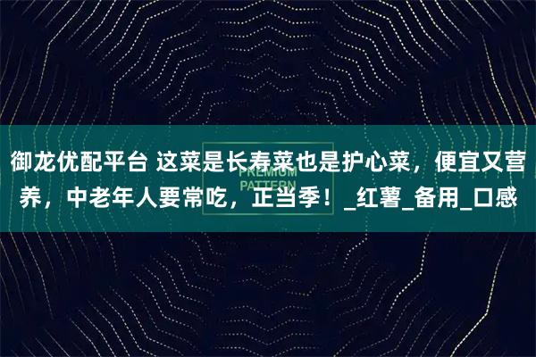 御龙优配平台 这菜是长寿菜也是护心菜，便宜又营养，中老年人要常吃，正当季！_红薯_备用_口感