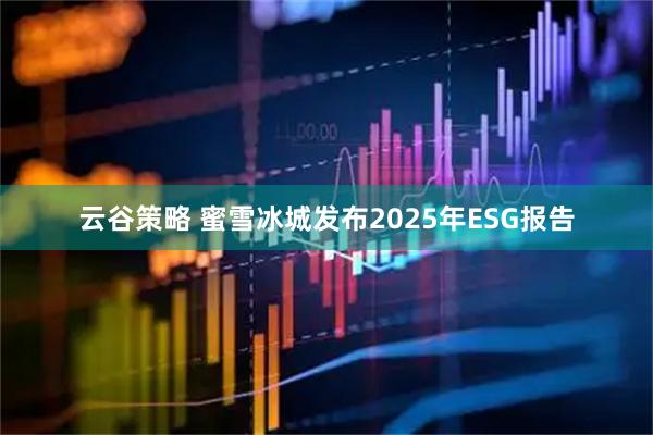 云谷策略 蜜雪冰城发布2025年ESG报告