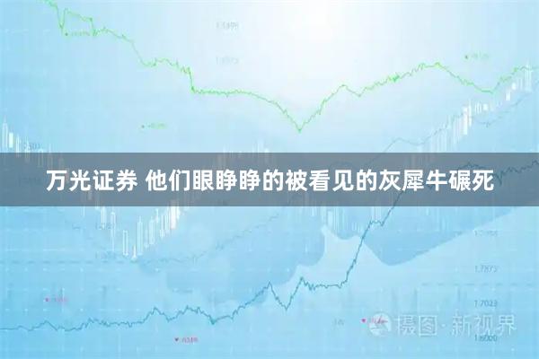 万光证券 他们眼睁睁的被看见的灰犀牛碾死